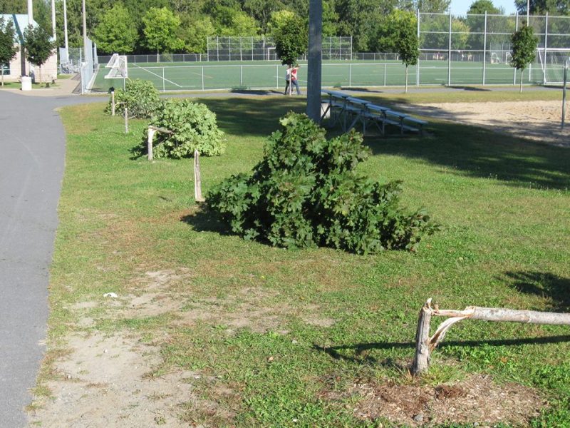 Vandalisme à Mont-Saint-Hilaire