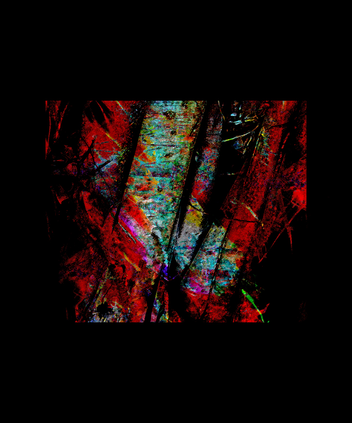 Le chant des arbres sous-marins de Danielle Vary