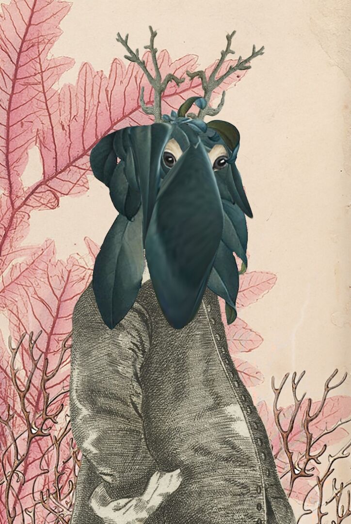 Œuvre de Caroline Barber